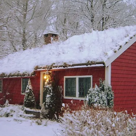 Holiday Dimmelsvik Myklebustv.